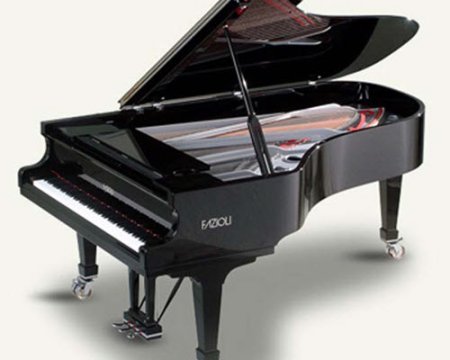 פסנתר כנף חדש פציולי עיצוב מיוחד Silver